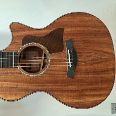 Taylor Guitars - 724CE 4